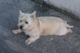 img033.jpeg.small.jpeg