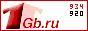 1Gb.ru counter